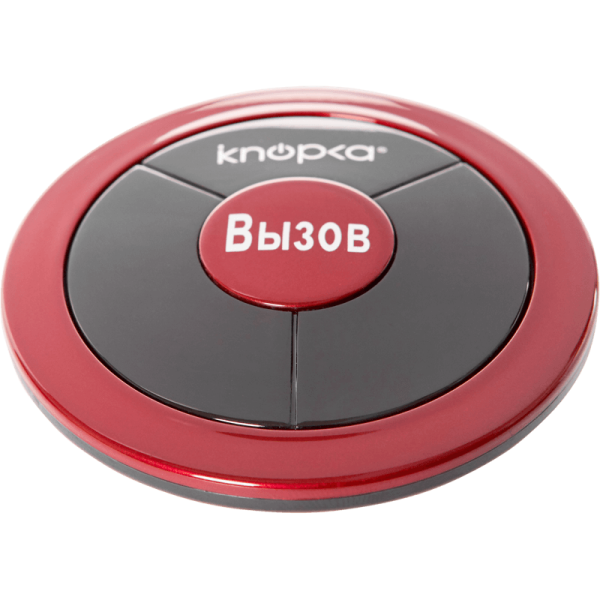 Кнопка вызова iKnopka APE310